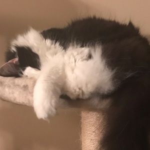 Meet your Posher, Joseph